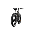 XPeak2 High-Step eBike