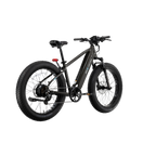 XPeak2 High-Step Long-Range eBike