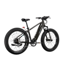 XPeak2 High-Step eBike
