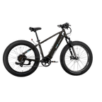 XPeak2 High-Step Long-Range eBike