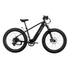 XPeak2 High-Step Long-Range eBike