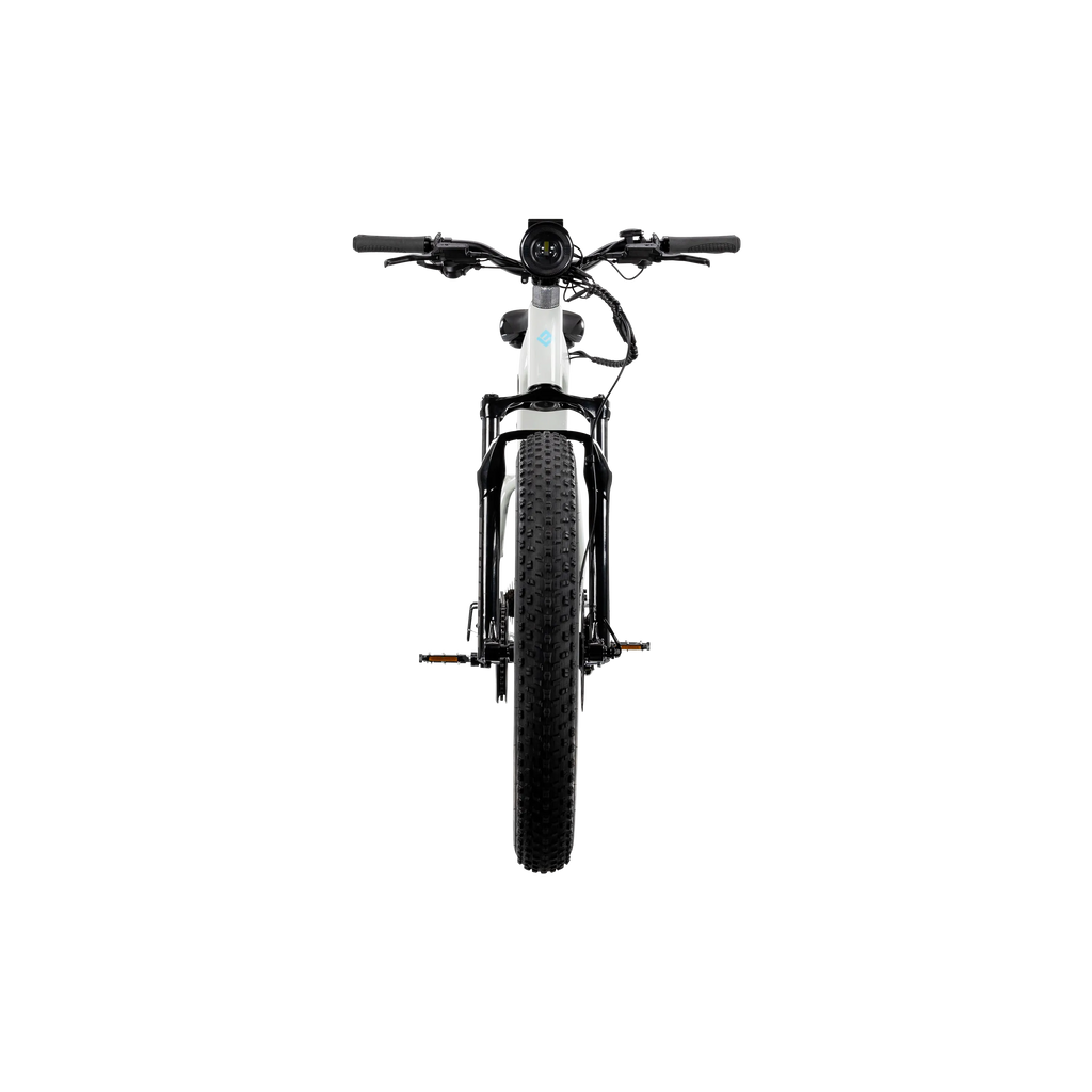 XPeak2 Step-Thru Long-Range eBike