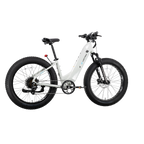 XPeak2 Step-Thru Long-Range eBike