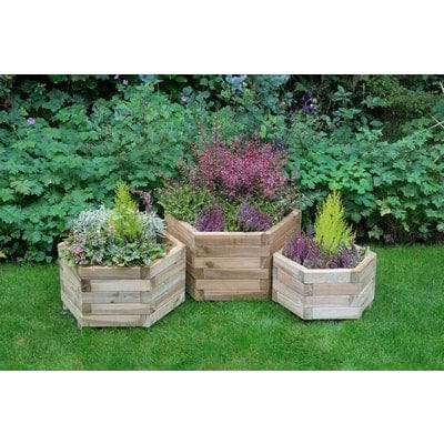 Forest York Hexagonal Planter (Pack of 3)