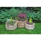 Forest York Hexagonal Planter (Pack of 3)