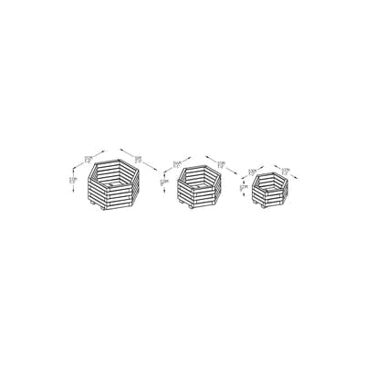 Forest York Hexagonal Planter (Pack of 3)