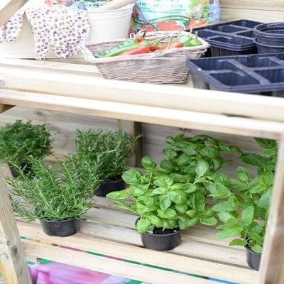 Forest Mini Greenhouse