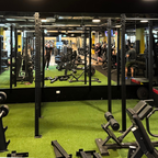Muscle Motion RIG75F2 Freestanding Rig 2 Cells