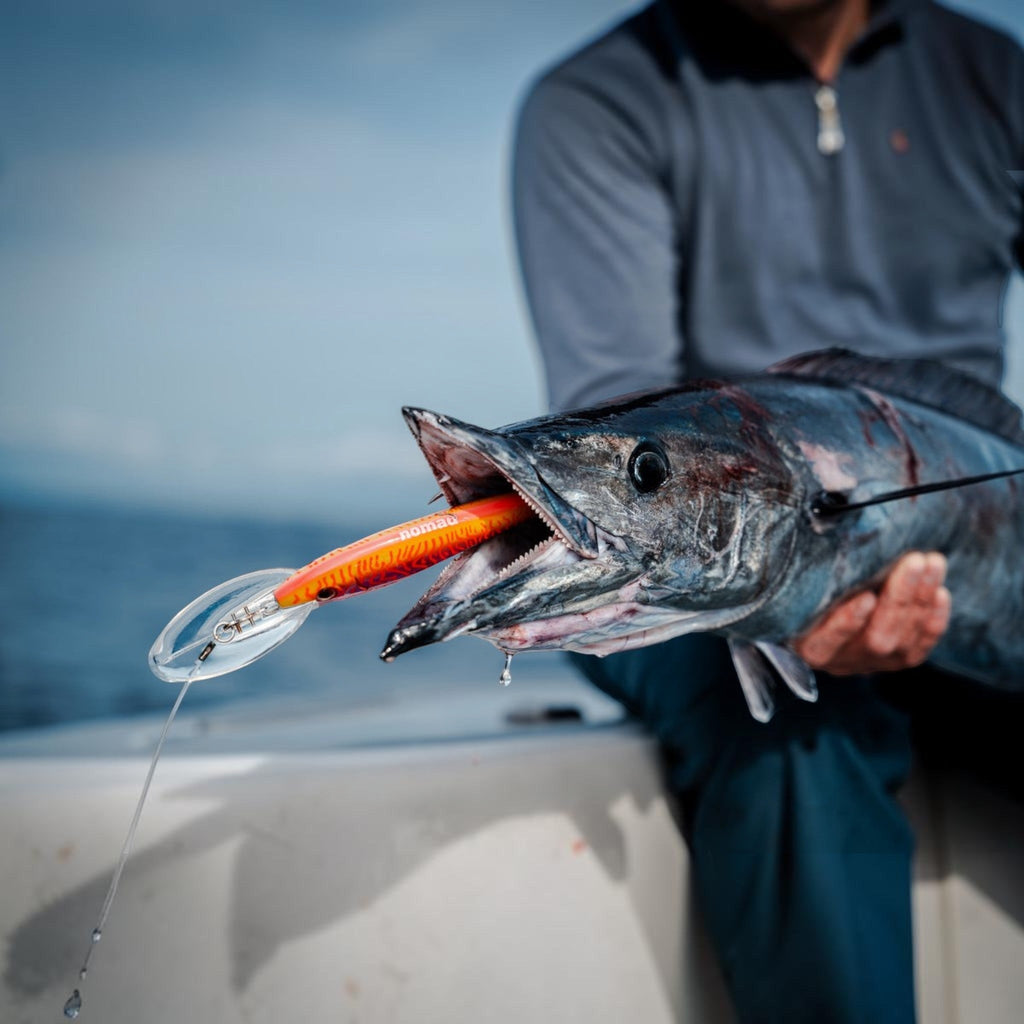Nomad DTX Minnow 165 SNK 6-1/2"
