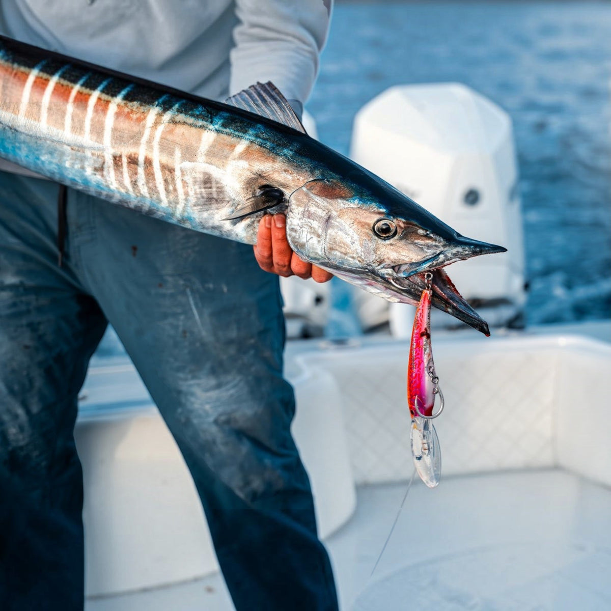 Nomad DTX Minnow 165 SNK 6-1/2"