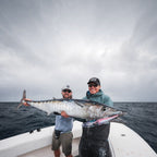 Nomad DTX Minnow 220 Heavy Duty SNK 9"