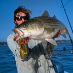 Nomad Squidtrex 150 Vibe 6" - 4 3/4oz