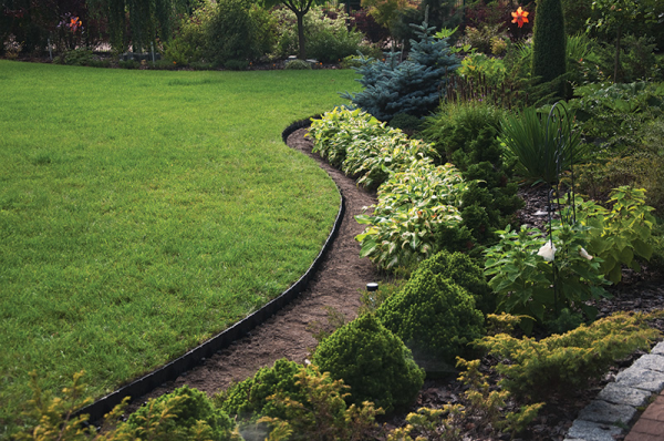 Lawn Border Set, Easy Border 60mm Brown 10m With Pegs