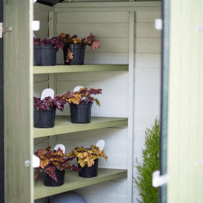 Overlap 4ft x 3ft Double Door Apex Shed inc 3 Shelves