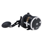 Penn Rival 20 LW multiplier reel
