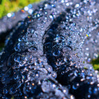 Porous Pipe Soaker Hose Cost Wise 200m