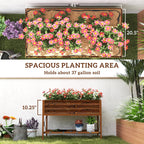 Galvanized Steel Raised Garden Bed, Planter Box with Storage Shelf & Bed Liner, Brown