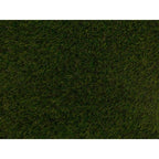 40mm Pragma - Sample