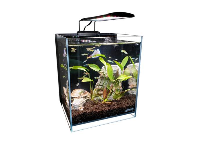 Lifegard High Output 5" Full Spectrum LED Light with Mounting Bracket
