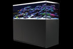Reefer 625 G2+ System - 132 Gallon Reef Ready Aquarium - Red Sea [New]