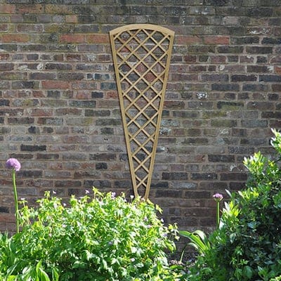 Forest Hidcote Fan Lattice 180cm x 61cm