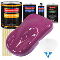 Magenta - Urethane Basecoat with Clearcoat Auto Paint - Complete Medium Gallon Paint Kit - Professional High Gloss Automotive, Car, Truck Coating