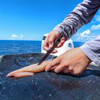 SORD Fishing Products 3in Rigging Knife