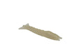 Get Thumped 4.2in Shrimp Bodies - Dogfish Tackle & Marine