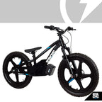 STACYC 20e Drive Brushless