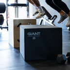 3N1 Soft Plyo Box (20"x24"x30")