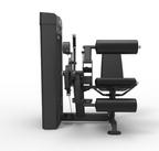 Spirit Dual Leg Extension/Leg Curl