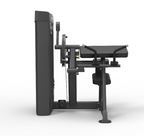 Spirit Dual Bicep Curl/Tricep Extension