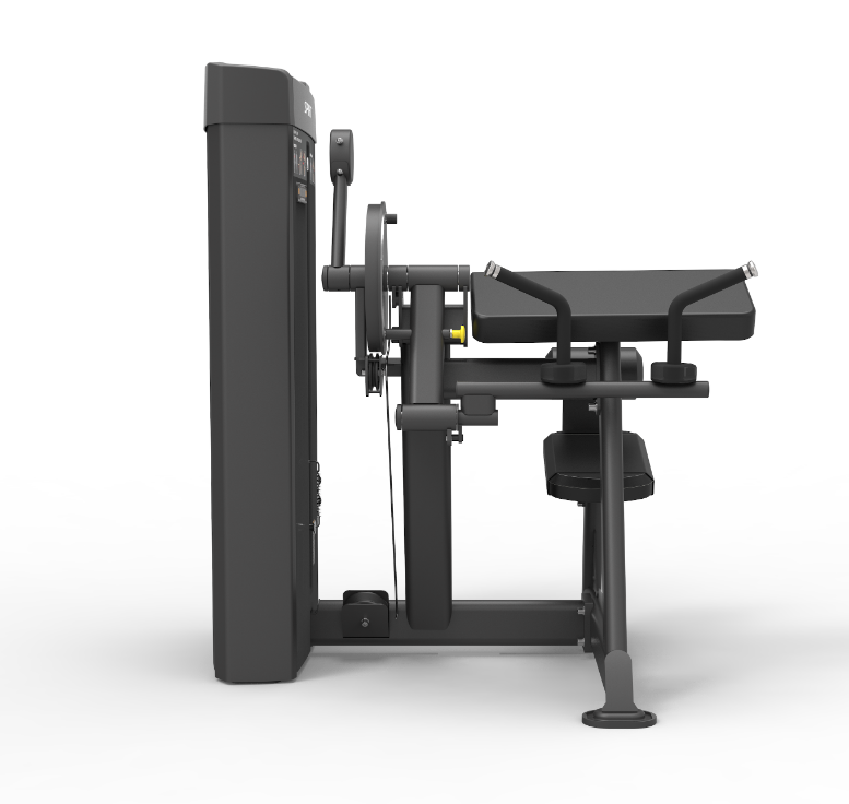 Spirit Dual Bicep Curl/Tricep Extension