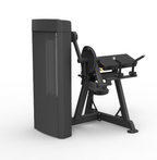 Spirit Dual Bicep Curl/Tricep Extension