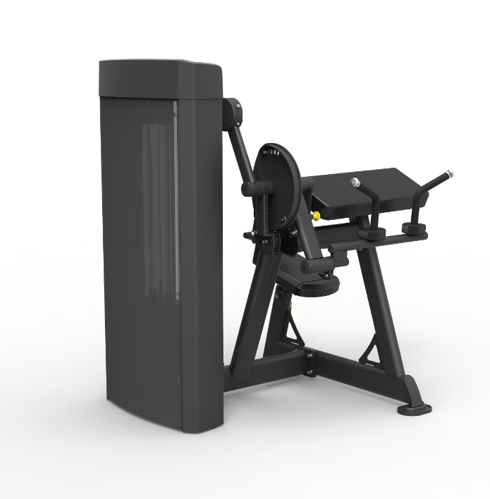 Spirit Dual Bicep Curl/Tricep Extension