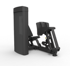 Spirit Dual Leg Press/Calf Extension