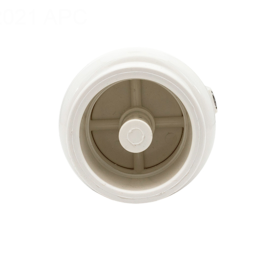 Pentair R172288 Corrosion Resistant Check Valve