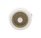Pentair R172288 Corrosion Resistant Check Valve