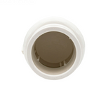 Pentair R172288 Corrosion Resistant Check Valve