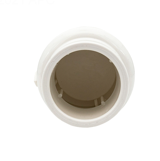 Pentair R172288 Corrosion Resistant Check Valve