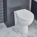 Monty Back To Wall Toilet