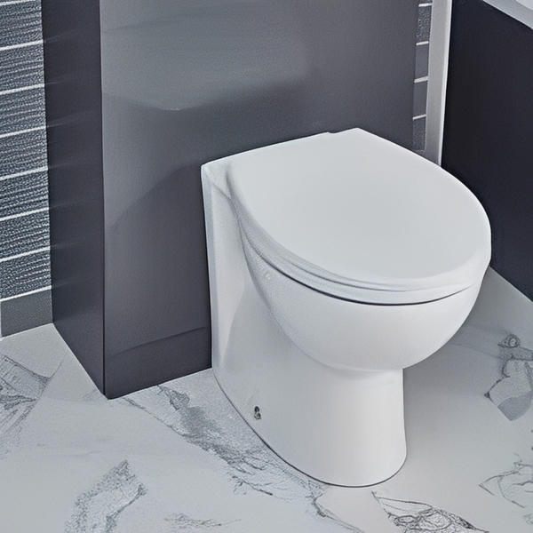 Monty Back To Wall Toilet