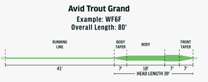 Rio Avid Grand