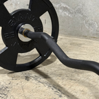 V2 EZ Curl Bar