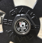 V2 EZ Curl Bar