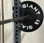 20kg Hybrid Bar 2.0 - CP