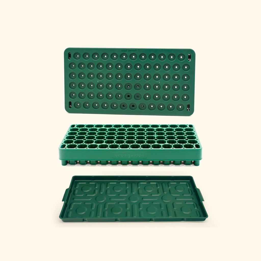 Plant 'n' Pop Seed Bundle