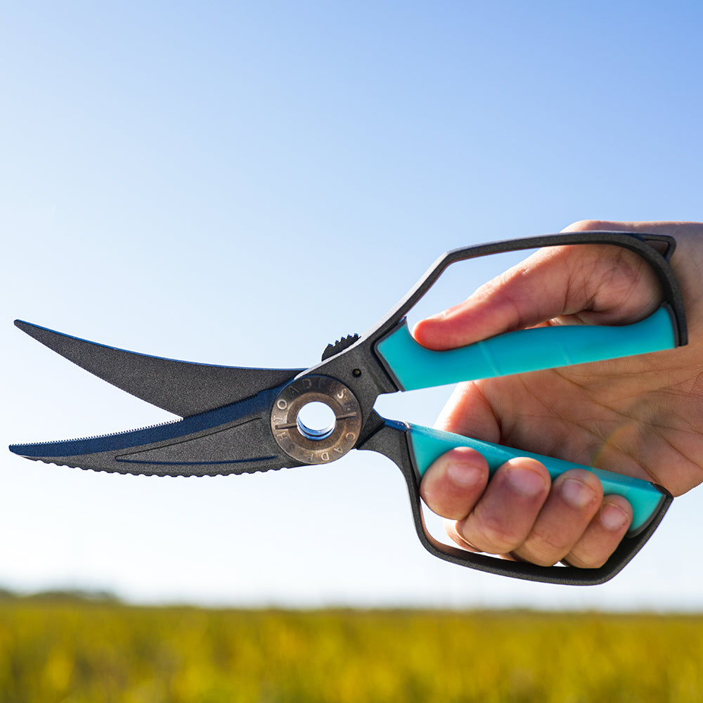 Toadfish Ultimate Shears + Sheath