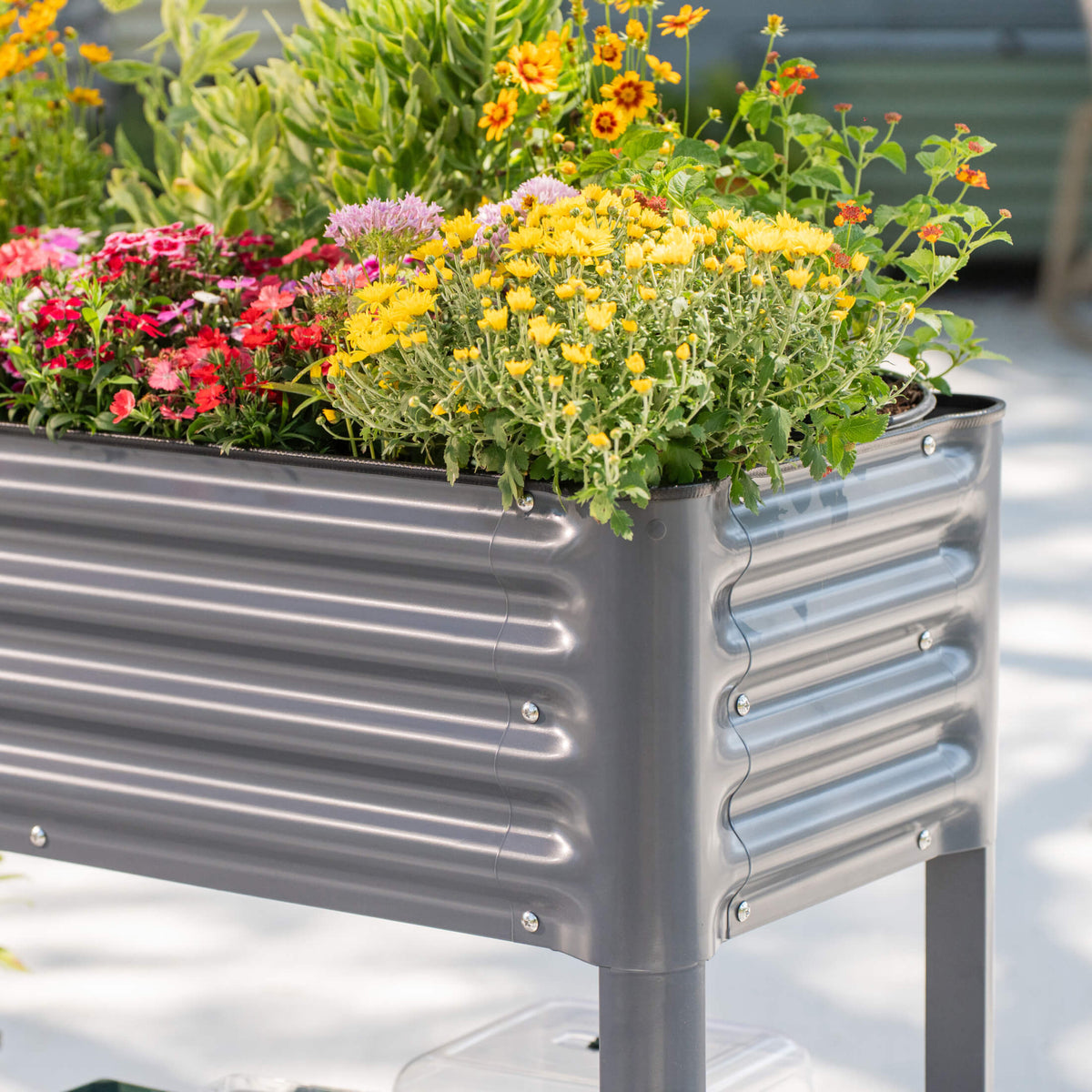 Elevated Garden Bed - Slim Series 1.5' x 3.5'