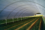 Solarig Classic 156 Woven Plastic Greenhouse Cover/Film